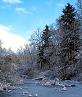 Winter's Beauty